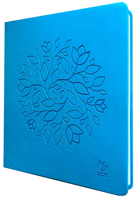 InnerGuide 2020 Planner - 2020 Calendar Year - 8x9 Inch Appointment Book - Daily Weekly & Monthly - by Inner Guide Life Planners (Turquoise Cover)