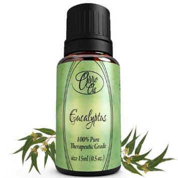 Eucalyptus Oil by Ovvio Oils - 100% Pure & Highest Quality Essential Oils Available - Use Ovvio's Eucalyptus Oil for Aromatherapy, Steam Rooms, Diffusers, Humidifiers and More. Smell the Difference! 100% Risk Free Money Back Guarantee! - 15ml