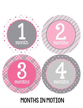 Months in Motion 295 Monthly Baby Stickers Milestone Age Sticker Photo Prop Newborn Girl Pink