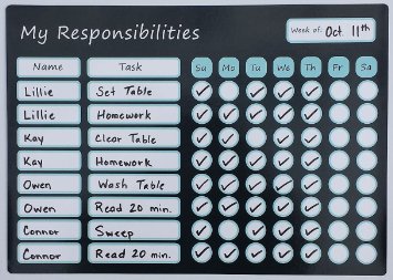 Magnetic Responsibility Chart Dry Erase Board 9.75" X 14" with Marker Pen/Eraser Tip. Chore Chart/Reward Chart