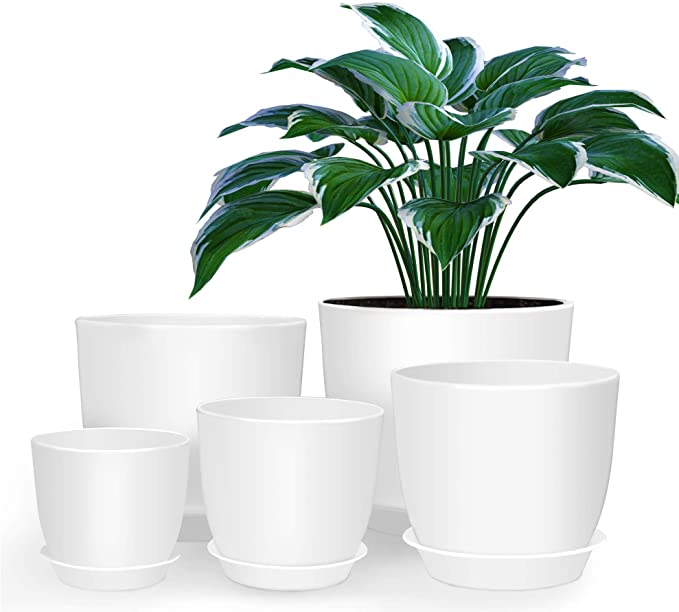 Lanccona Plastic Planter with Saucers,8/7/6/5.5/5 Inch Flower Pot Indoor Modern Decorative Plastic Pots for Plants with Drainage Hole and Tray for All House Plants, Flowers, and Cactus, White