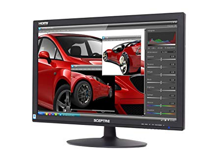 Sceptre 24" 75Hz Full HD 1080P LED Monitor HDMI VGA Build in Speakers, Brushed Black 2019 (E248W-19203S)