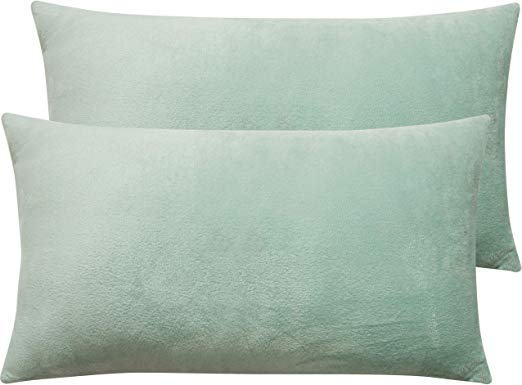 NTBAY Zippered Velvet King Pillowcases, 2 Pack Super Soft and Cozy Luxury Solid Color Pillow Cases, 20 x 36 Inches, Cyan