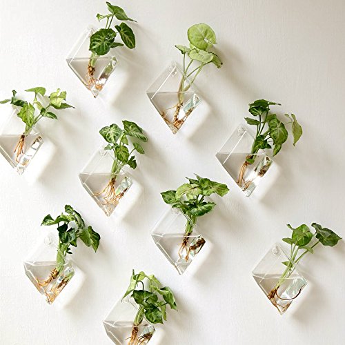 Mkono 2 Pack Wall Hanging Plant Terrarium Glass Planter, Diamond