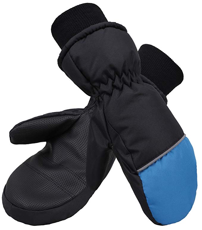 AbbyLexi Ski Mittens Kids Girls Boys Thinsulate Lined Waterproof Snow Gloves