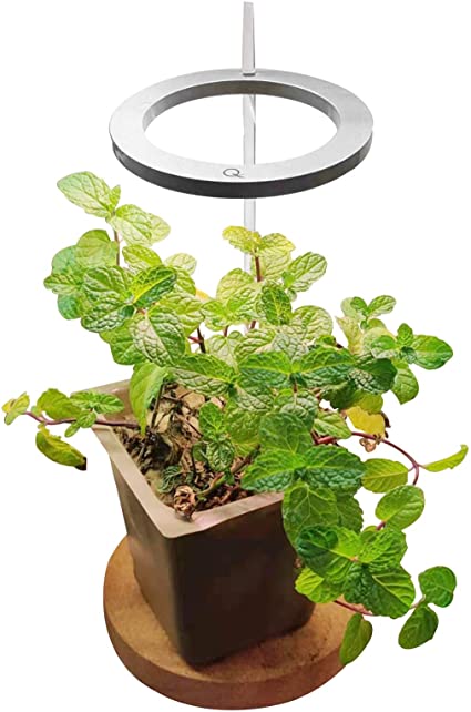 Small Grow Light, Full Spectrum Led Mini Desk Grow Light Height Adjustable Indoor Plant Light