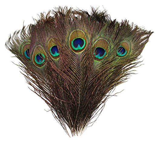Natural Peacock Feathers 10"-12" (30) Wedding Christmas Halloween Décor by Blisstime