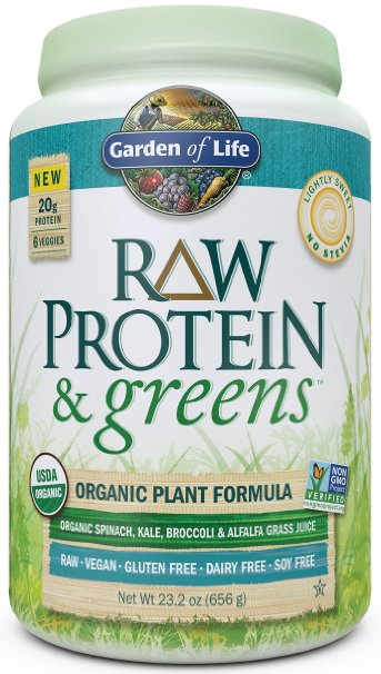 Garden of Life Raw Protein and Greens, Lightly Sweet No Stevia, 656 Gram
