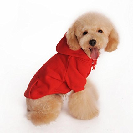 Namsan Autumn and Winter Cotton Warm Casual Casual Coats with Hoodie for Puppy Doggie Dog Clothes