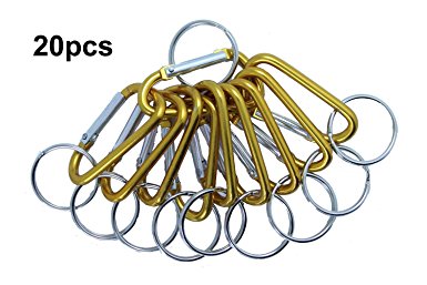 CaseBuy 20pcs Aluminum D Shape Lightweight Keyring with Carabiner for Outdoors, Camping, Biking, Hiking, Traveling, Biking, Purse, Backpack