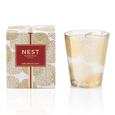 NEST Fragrances Classic Candle- Birchwood Pine , 8.1 oz