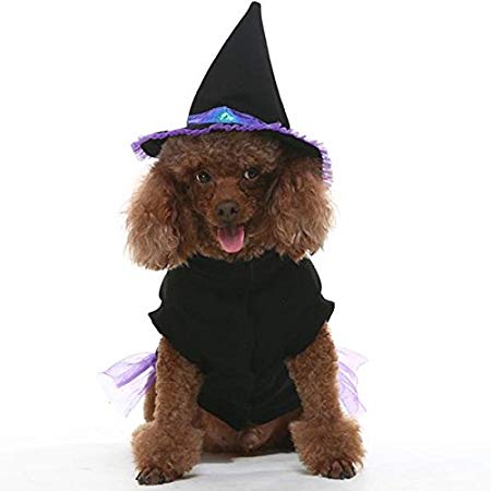 EXPAWLORER Dog Halloween Costume, Comfortable Fancy Witch Costume for Party Activity