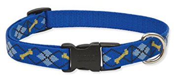 Lupine 3/4 Inch Dapper Dog Adjustable Dog Collar for Small to Large Dogs