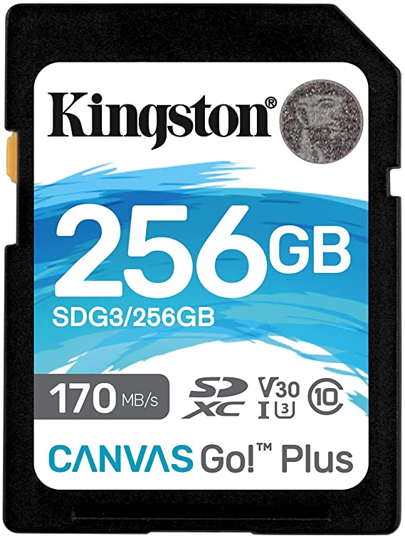 Kingston 256GB SDXC Canvas Go Plus 170MB/s Read UHS-I, C10, U3, V30 Memory Card (SDG3/256GB)