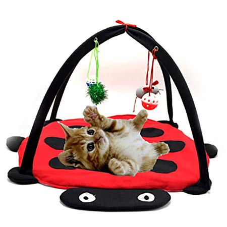 Patgoal Cat Mobile Activity Play Mat Pet Padded Bed with Hanging Toys Bells Balls and Mice
