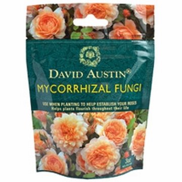 David Austin Mycorrhizal Fungi