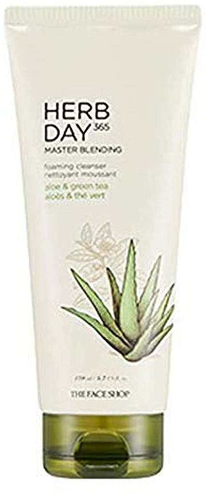 The Face Shop Herb Day 365 Master Blending Aloe and Green Tea Facial Foaming Cleanser, Dry, 170 ml