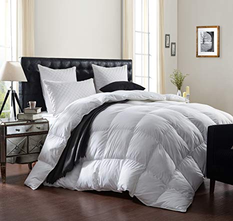 LUXURIOUS 1200 Thread Count GOOSE DOWN Comforter Duvet Insert, Twin Size, 1200TC - 100% Egyptian Cotton Cover, 750+ Fill Power, 50 oz Fill Weight, White Color