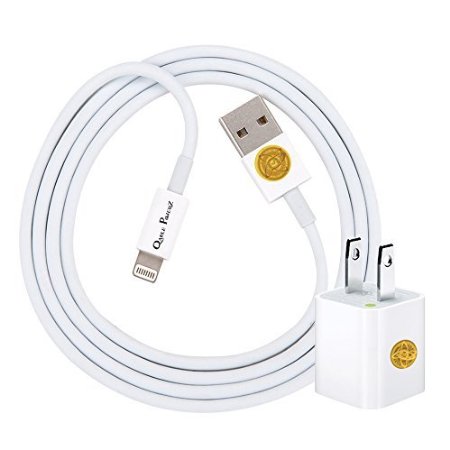 1M Premium Quality Lightning 8 Pin Cable w Wall Adapter for iPhone 6S6Plus6 -Wte