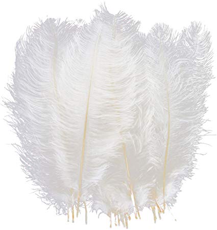 Natural 10-12 inch(25-30cm) Ostrich Feathers for Wedding Centerpieces Home Decoration, 20Pcs (White)