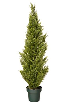 National Tree 48 Inch Arborvitae Tree in Dark Green Round Plastic Pot (LMC4-700-48-6)