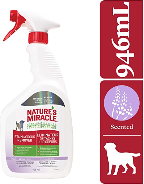 Nature's Miracle Stain & Odor Remover Just for Dogs, Pet Stain Eliminator, Lavender Scent, 946mL