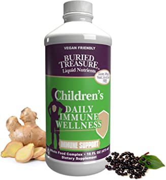 Buried Treasure Childrens Daily Immune Wellness for Kids, 16 Fl oz. 16 Servings, Berry Banana Flavor with Vitamin C, Zinc, Elderberry, Echinacea to Naturally Support Boost Immune System