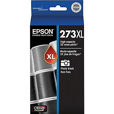 Epson 273XL Photo Black Ink Cartridge (T273XL120-S), High Yield