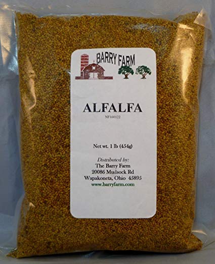 The Dirty Gardener Whole Alfalfa Sprouting Seeds, 1 Pound