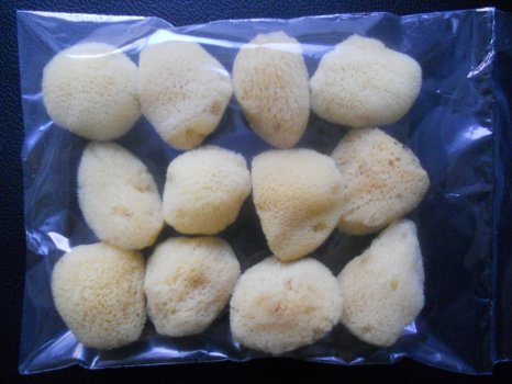 Natural Sea Silk Sponges - Pack of 12