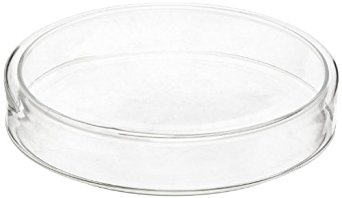American Educational Flint Glass Culture Petri Dish, 130mm OD, 25mm Height (Bundle of 5)