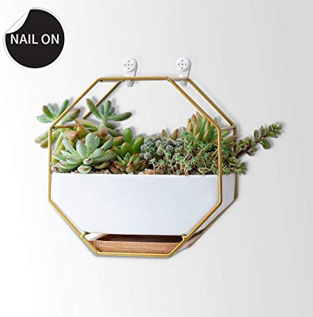 Arflo White Hexagon Ceramic Wall Planters Hanging Vase 6.96 Inch Wall-Mounted Container Drainage Hole with Bamboo Tray Succulent Plants Cactus Vase Container Plants Pots for Desk,Home Decoration