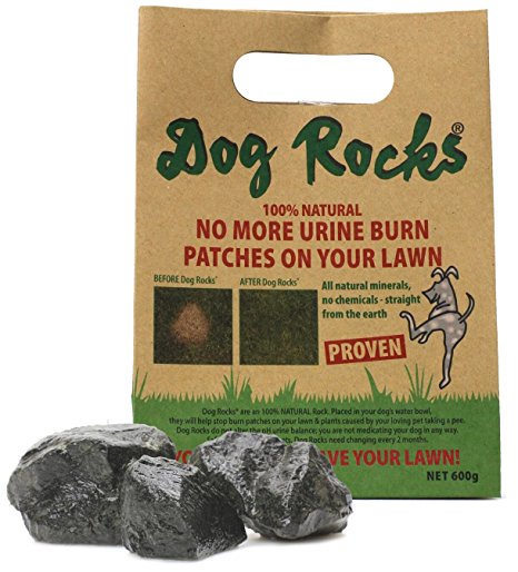 Dog Rocks – All Natural Grass Burn Solution for Dogs Prevents Lawn Urine Stains