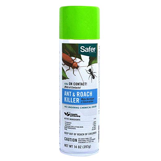 Safer Brand 14-Ounce Aerosol Ant and Roach Killer 5720