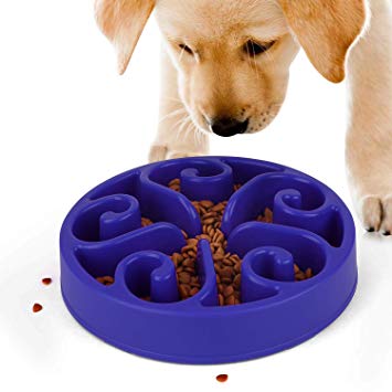 JASGOOD Slow Feeder Dog Bowl New Arriving Fun Feeder Slow Feeding Interactive Bloat Stop Dog Bowls