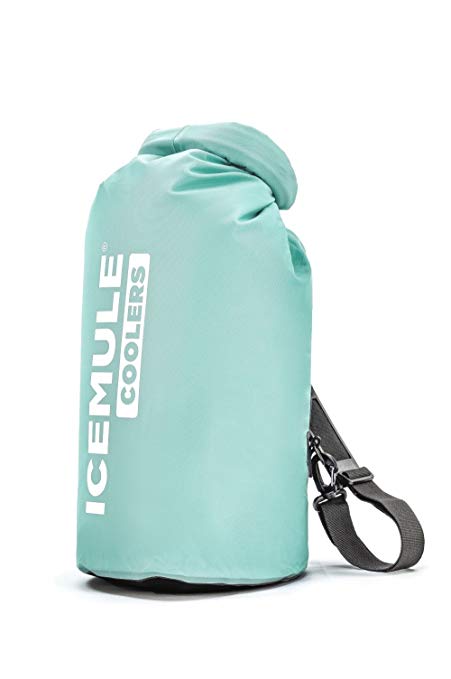 ICEMULE Classic Insulated Backpack Cooler Bag - Hands-free, Highly-Portable, Collapsible, Waterproof & Soft-Sided Cooler Backpack for Hiking, the Beach, Picnics, Camping, Fishing - 10 Liters, 6 can