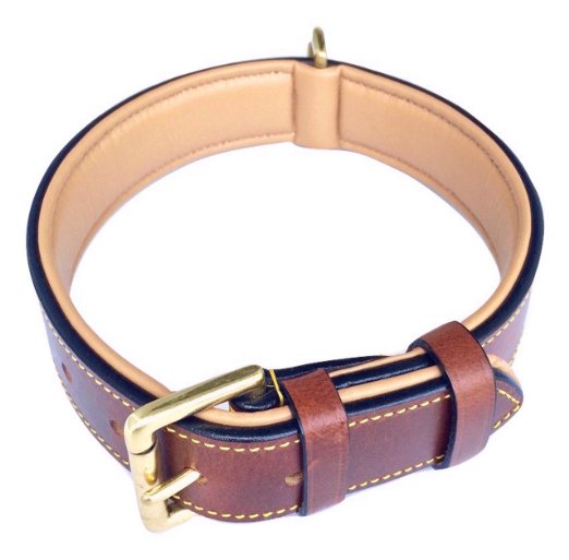Luxury Real Leather Padded Dog Collar