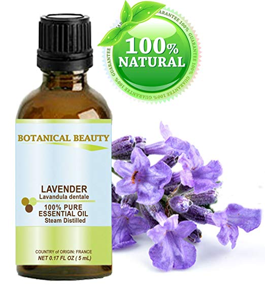 LAVENDER Essential Oil French. 100% Pure Therapeutic Grade, Premium Quality, Undiluted, Steam Distilled. 0.17 Fl.oz.- 5 ml. by Botanical Beauty.