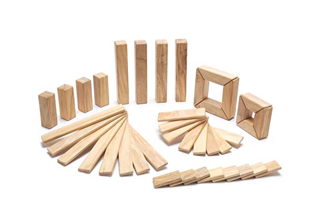 40 Piece Tegu Explorer Magnetic Wooden Block Set, Natural