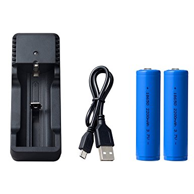 [Charge Anywhere] 18650 Li-ion Rechargeable battery with Charger, for LED Torch flashlight, headlamp and bicycle light, 2 Batteries   1 USB charger, Not for E-cig