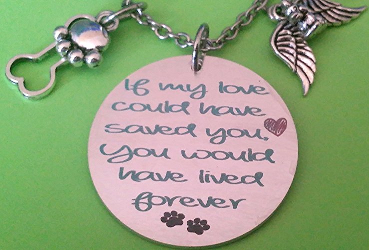 Engraved Pet Loss Necklace | If My Love Could Have Saved You. You Would Have Lived Forever- For Dog and Cat Lovers | Custom Engraving