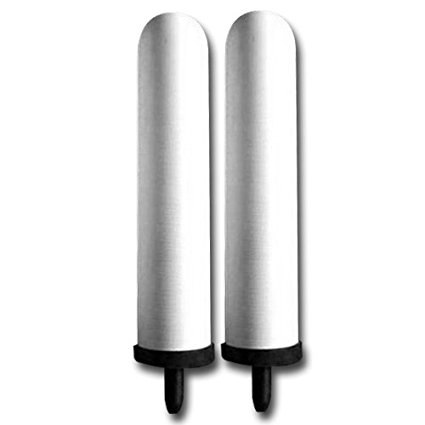 Berkey SSCF-9 9-Inch Ceramic Replacement Filters, 2-Pack