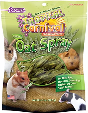 F.M. Brown's Tropical Carnival Natural Oat Spray Foraging Treat For Mice, Rats, Hamsters, Guinea Pigs, Rabbits and Other Small Animals, 8-oz Bag - USA Grown and Harvested