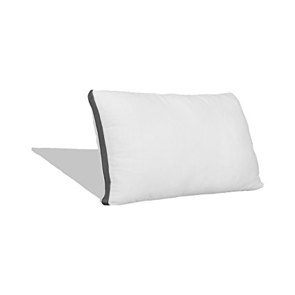 Coop Home Goods 2 Pack - Lulltra Zippered Waterproof Pillow Protectors - 2 pack - Hypoallergenic - Machine Washable - 15 Year Warranty (Standard)