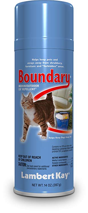 Lambert Kay Boundary Indoor/Outdoor Cat Repellent Aerosol Spray, 14-Ounce