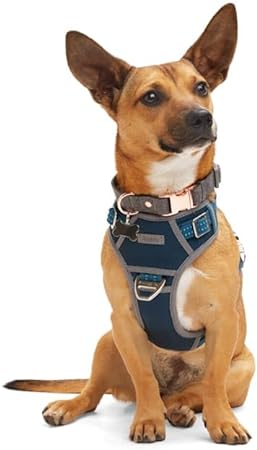 Reddy Navy Dog Harness, Large