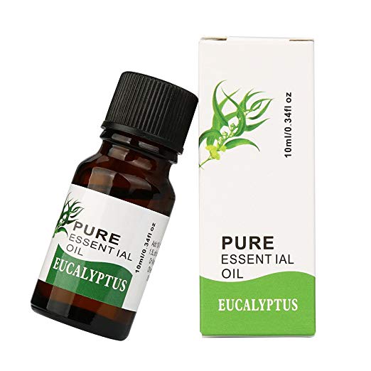 OcEaN Home & Living Eucalyptus Natural Aromatic Plant Aromatherapy Essential Oil