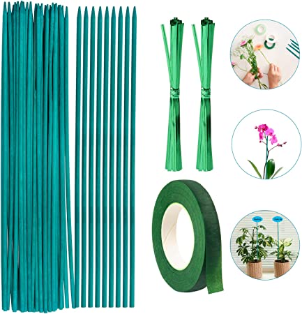 ANGELIOX 35Pcs Green Bamboo Sticks, 15 Inch Plant Stake, Comes with 1 Roll Floral Tape and 2 Pack Garden Ties - Floral Plant Support for Indoor Flower Plant,Floral Arrangement (35Pcs/38cm)