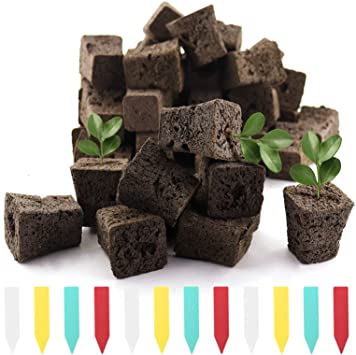 YBB 50 Pcs Seed Starter Plugs, Rapid Root Plugs Organic Plant Starters Sponges Hydroponics Supplies with 60 Pcs Labels