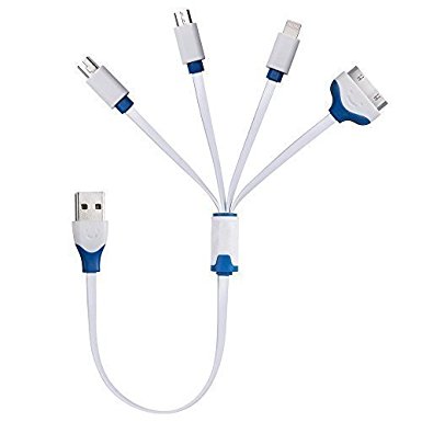 Red Gem 4 in 1 Multiple USB Charging Cable Adapter Connector with 8 Pin Lighting / 30 Pin / Micro USB / Mini USB Ports for iPhone iPad iPod touch Galaxy (Blue) (1-Pack)